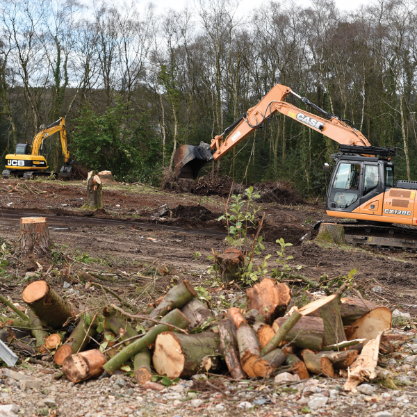 Construction - Clearing of Trees