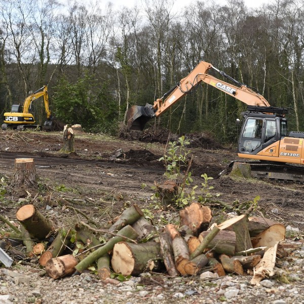 Construction - Tree Clearing